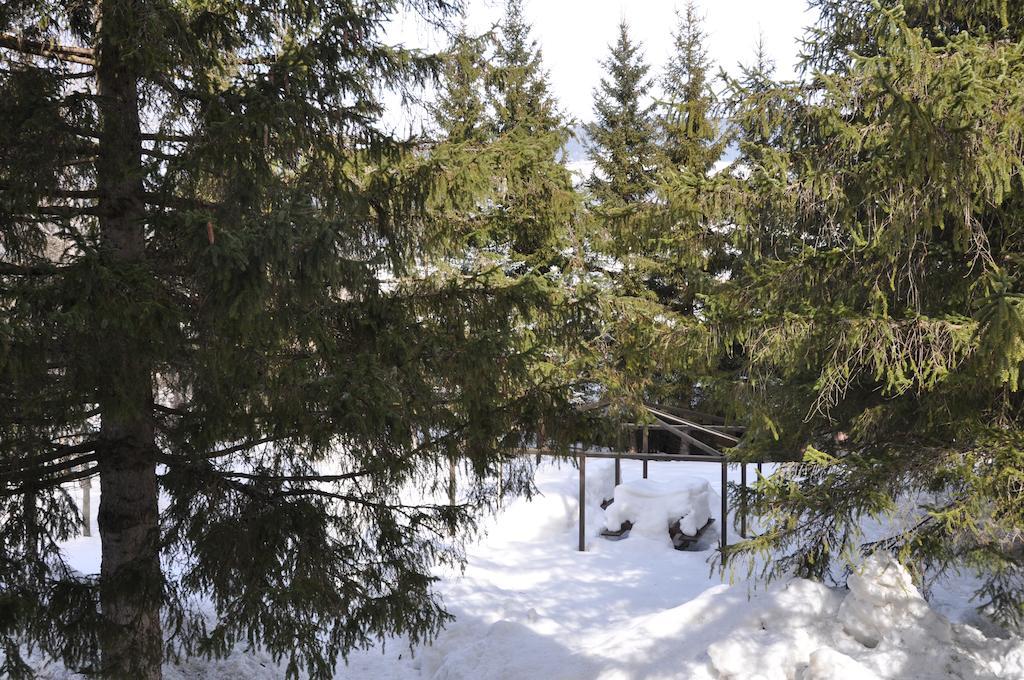 Casa Alpina Dobbiaco Ξενοδοχείο Εξωτερικό φωτογραφία
