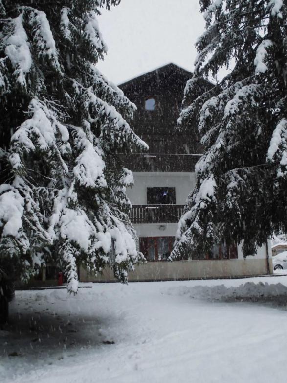 Casa Alpina Dobbiaco Ξενοδοχείο Εξωτερικό φωτογραφία